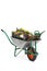 Wheelbarrow filled with flowers and gardening equipment