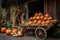 wheelbarrow filled with pumpkins in a rustic setting