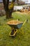 A wheelbarrow filled with woodchips in the garden background. Milch or bark used as compost on lush green grass in