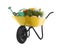 Wheelbarrow with flowers and gardening tools isolated