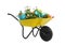 Wheelbarrow with flowers and gardening tools on white