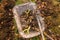 Wheelbarrow with freshly lifted dahlia tubers ready to be washed and prepared for winter storage. Autumn gardening jobs.