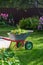 Wheelbarrow full of humus and dry flowers.