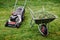 Wheelbarrow with grass and lawnmower on green lawn