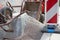 A wheelbarrow on a heap of gravel on a construction site in a city area delimited with safety markings