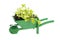 Wheelbarrow with vegetable plants