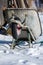 A wheelbarrow that was abandoned in the snow