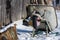 A wheelbarrow that was abandoned in the snow