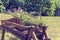 Wheelbarrow wooden decoration with flowers in a garden