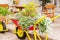 Wheelbarrows with flowers