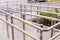 Wheelchair entry, outdoor object, nobody.Way of wheelchair, concrete ramp way with stainless steel handrail with