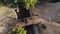 Wheelchair man. Handicapped man. aerial video. a young disabled man in an automated wheelchair crosses small bridge in