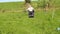 Wheelchair user metal detecting in a field