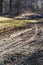 Wheeled tractor tracks in dirt country road