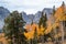 Wheeler Peak over orange and yellow fall colors on aspen tree le