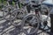 Wheels of parked bikes in the bike rental parking lot. Bicycle rental point. Bicycle rental is inexpensive. Bicycle