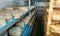 Wheels of sheep cheese on shelves in ripening room of cheese dairy