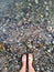 Where feet stood on a pebble beach
