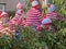 Where\'s Wally or Waldo ?