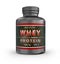 WHEY Protein Container. Sport Nutrition.