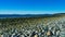 Whidbey Island Beach