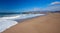 Whimbrel shorebirds on Surfers Knoll beach in Ventura southern California USA