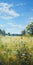 Whimsical Anime-inspired Painting Of A Field With Daisies And Wheat