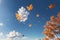 Whimsical Autumn Leaves Flying Across the Blue Sky