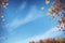 Whimsical Autumn Leaves Flying Across the Blue Sky