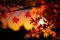 Whimsical Autumn Sunset: Crimson Leaves Descending Gently