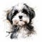 Whimsical Black And White Shih Tzu Dog Illustration On Watercolor Background