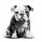 Whimsical Bulldog Puppy Illustration In Black And White