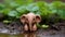 a whimsical clay elephant splashing happily in a tiny clay puddle