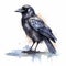 Whimsical Crow Illustration: Dark Silver And Blue Watercolor Art