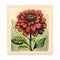 Whimsical Dahlia Red Stamp: Folk Art-inspired Illustrations By Chris Van Allsburg