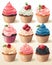 Whimsical Delights - A Symphony of Nine Delectable Cupcakes in a Rainbow of Flavors - generative AI