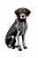 Whimsical Dog Skeleton in Gothic Style