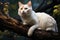 Whimsical elegance a white cat perches on a tree branch, exuding charm