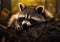 Whimsical Encounters: A Raccoon\\\'s Journey Through the Woods