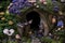 Whimsical fairy garden, where imagination and magic come alive Generated by Ai