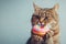 A Whimsical Feline Enjoying A Rainbow Donut Against A Clean Backdrop