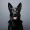 Whimsical German Shepherd Dogs: Black And White, Funny And Playful
