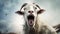 Whimsical Goat With Sharp Teeth A Disturbingly Exuberant Rural Life Depiction