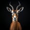 Whimsical Impala: A Charming Studio Portrait On Black Background