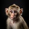 Whimsical Monkey Portrait On Black Background