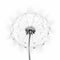 Whimsical Monochrome Dandelion: Conceptual Digital Art