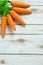 Whimsical Orange Carrots on a whitewashed rustic background with