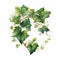 Whimsical Realism: Green And White Ivy Leaves On A Romantic Fantasy Background