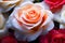 Whimsical Romance: Diverse Rose Colors for a Memorable Valentine\\\'s