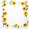 Whimsical Sunflower Frame Simple Beauty